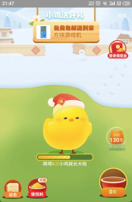 小鸡送好礼喂养小鸡界面